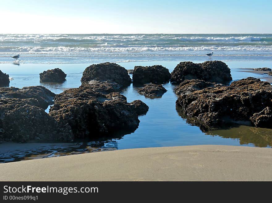 Beach and rocks