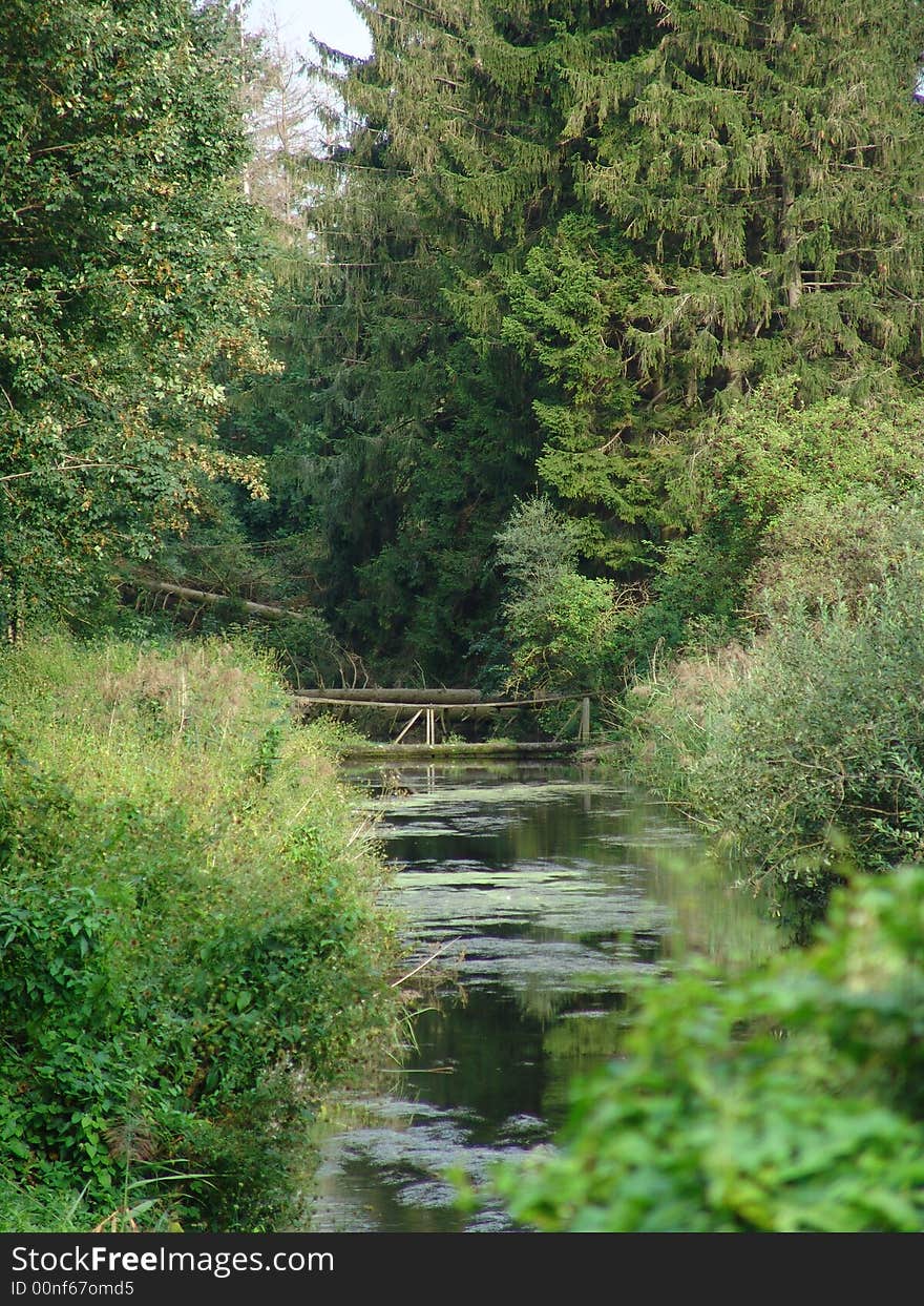 A small bridge in the forests. A small bridge in the forests.