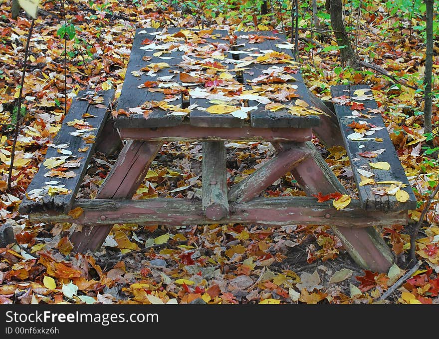 Picnic Table In Fall, covered and surrounded with leaves