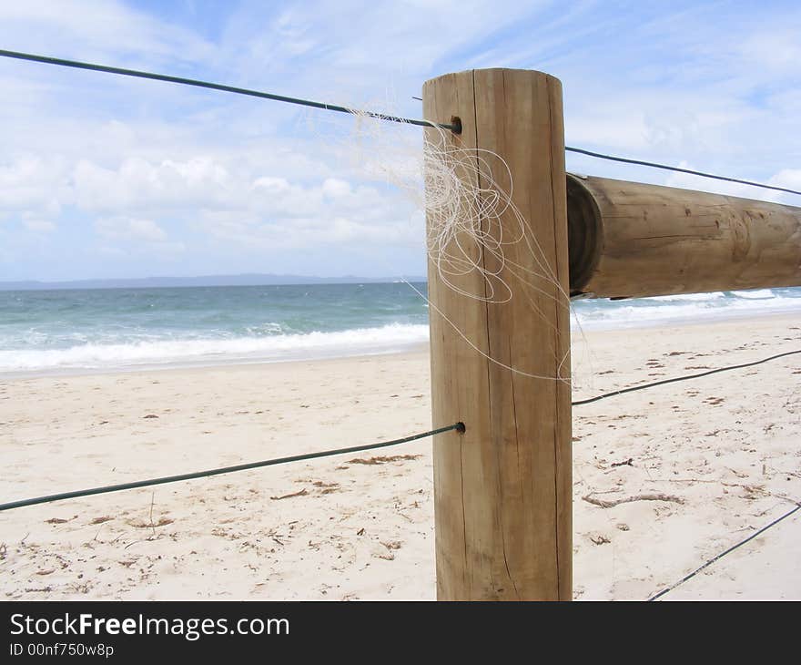 Tangled fishing Line on a Wooden Fence