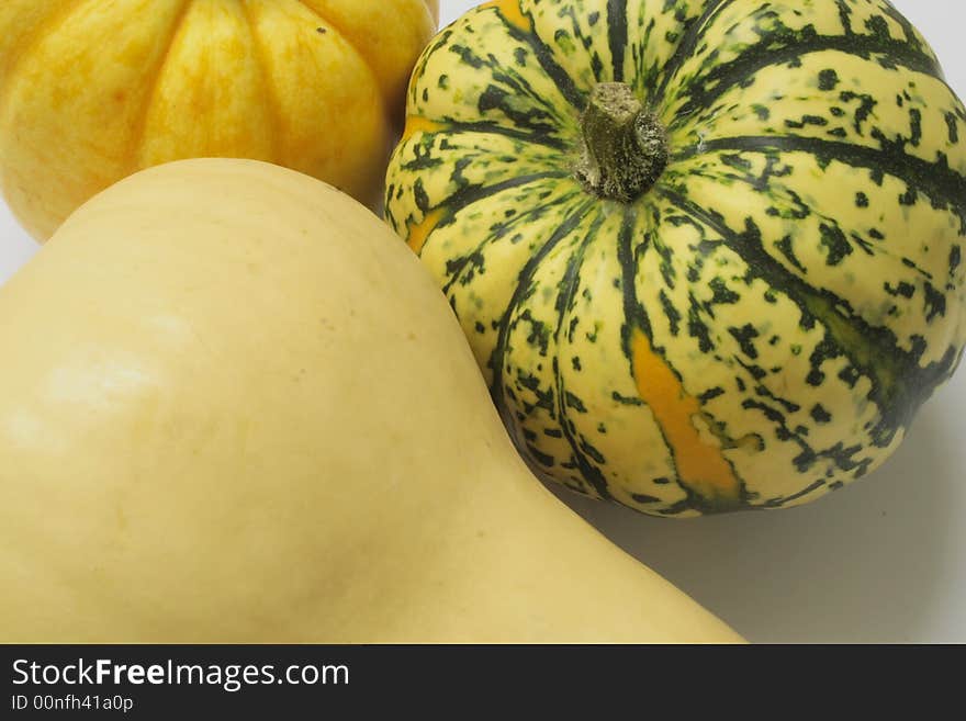 Squashes