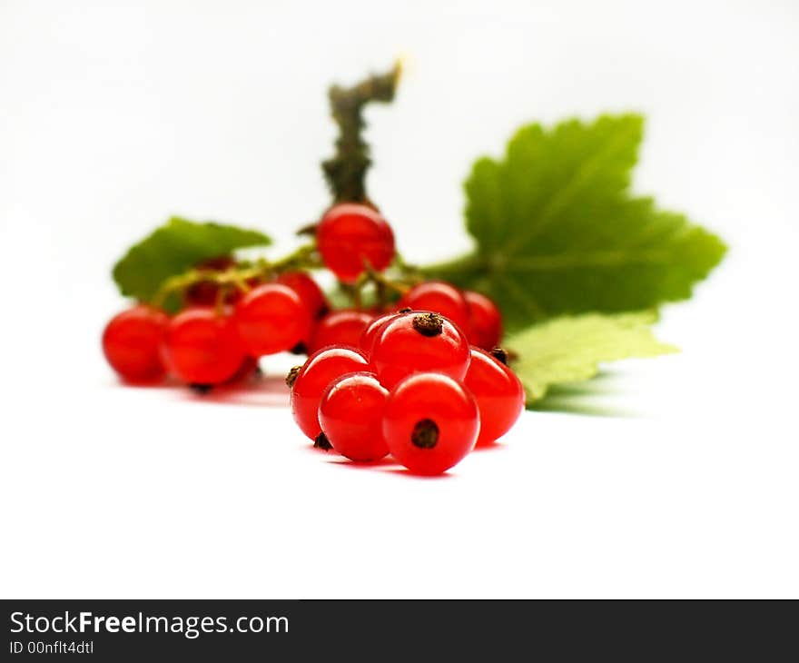 Red currant's bunch on white