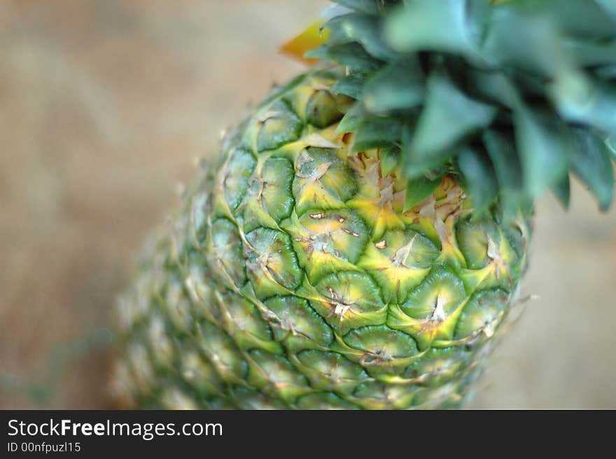 Pineapple