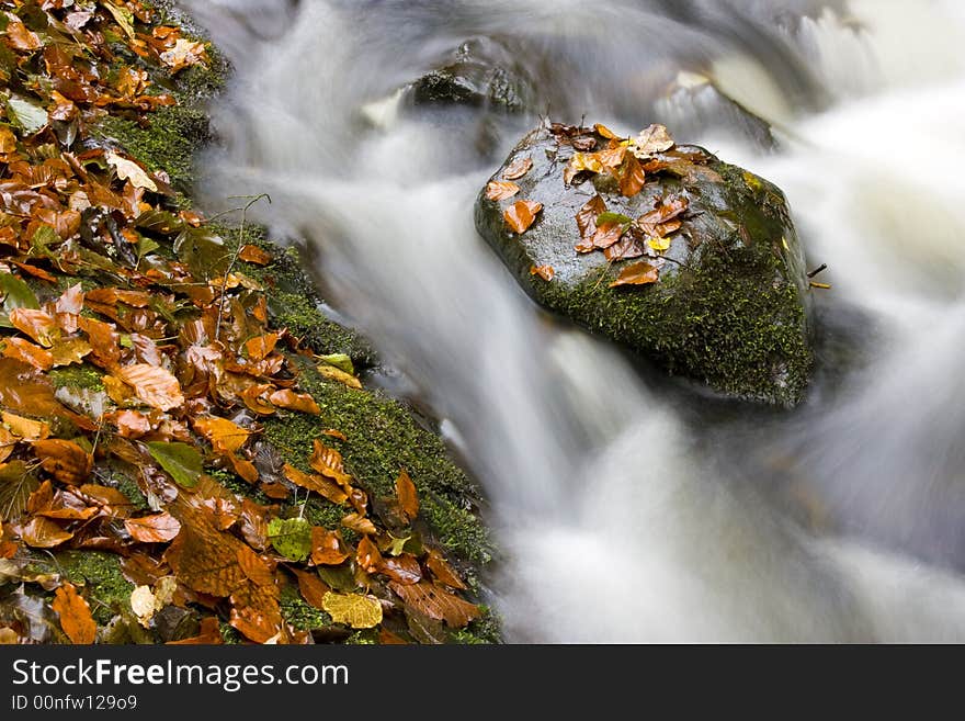 Hidden Brook In Autumn