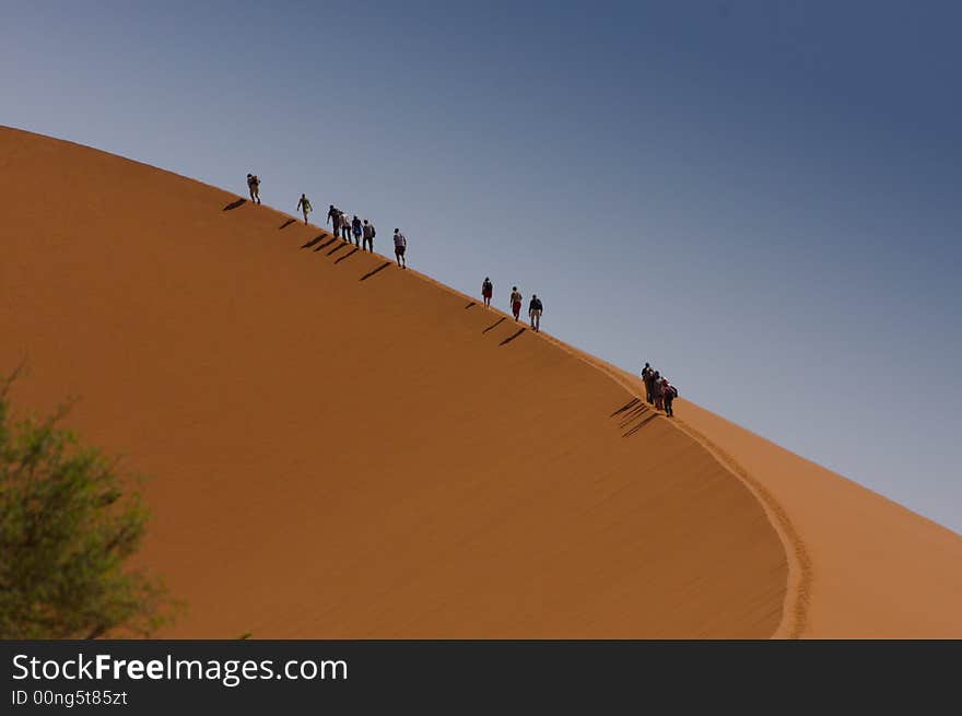 Dune Climbers