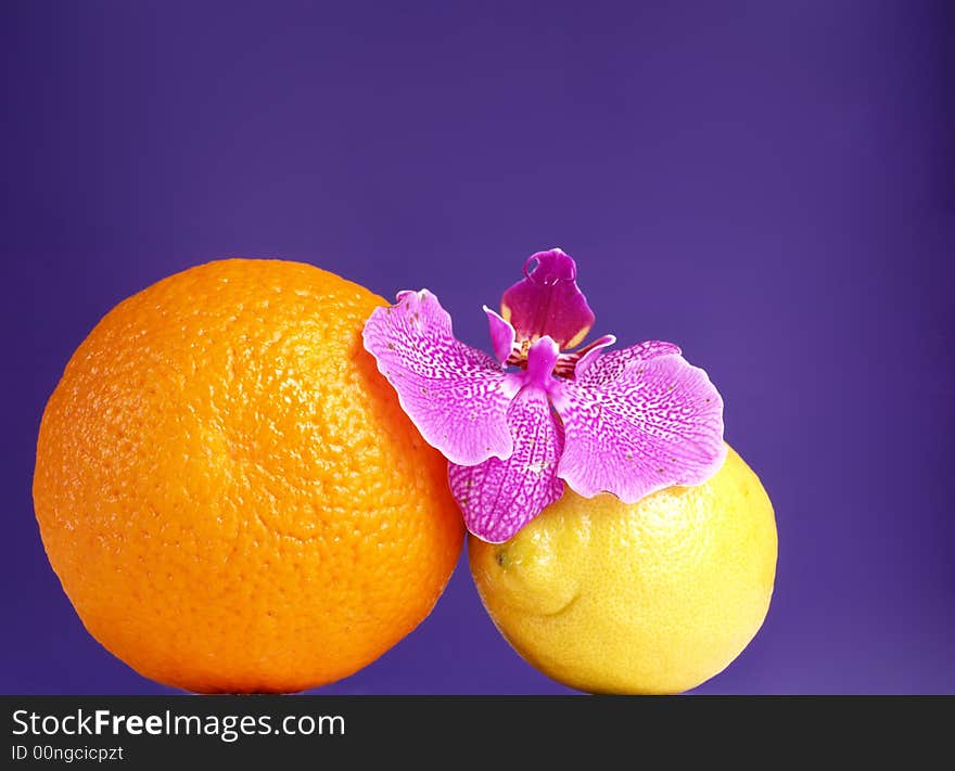 Orange, lemon and orchid