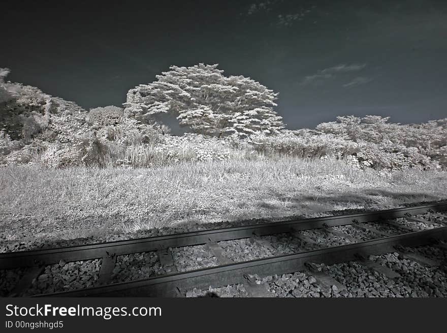 Infrared photo – tree and railway track