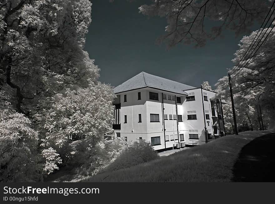 Infrared photo – tree, old house and cloud