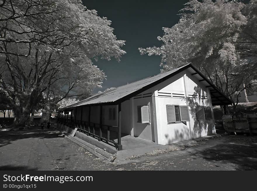 Infrared photo – tree, old house and cloud