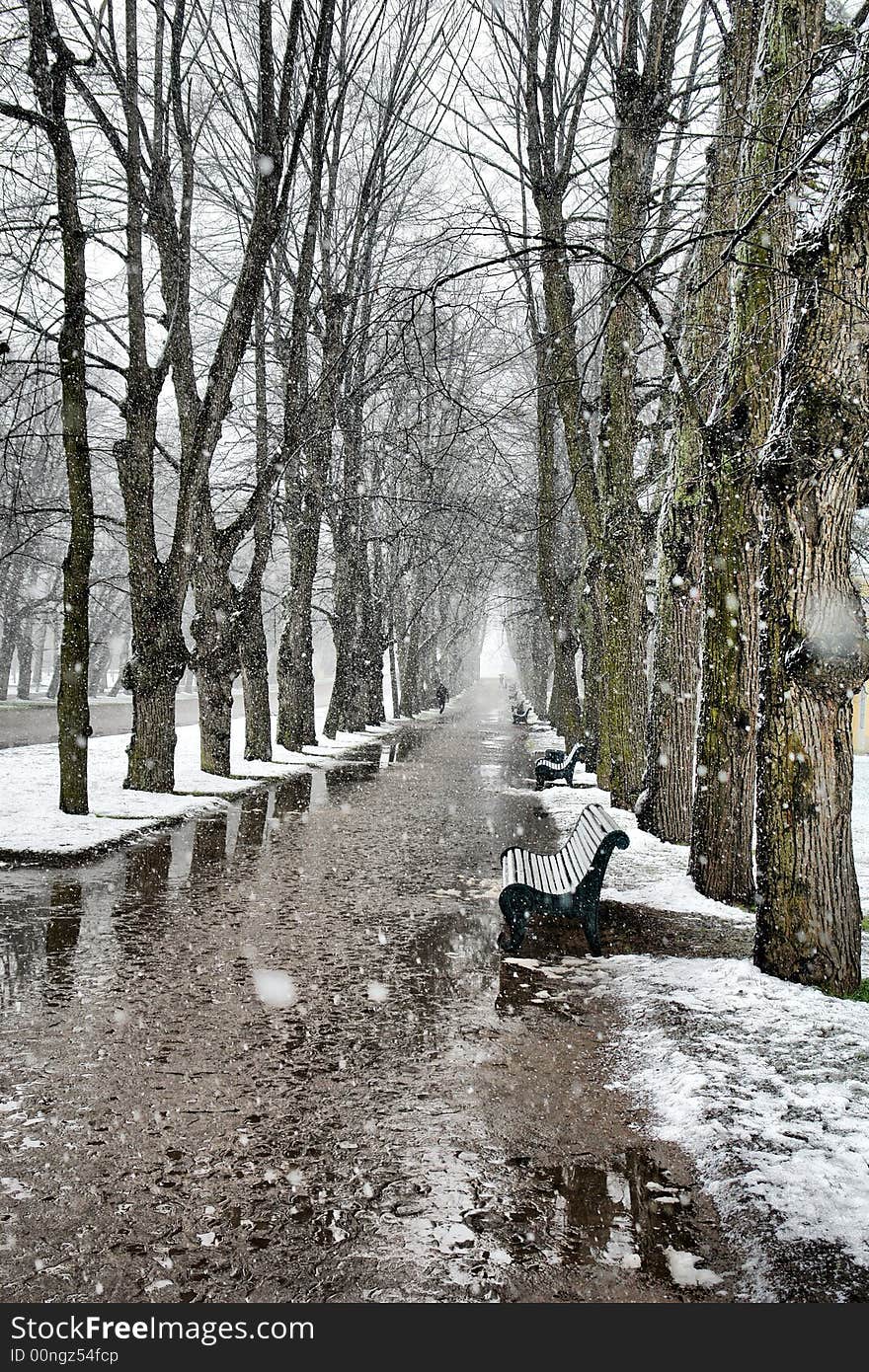 Early winter day in Pavlovsk near St. Petersburg (2007). Early winter day in Pavlovsk near St. Petersburg (2007)