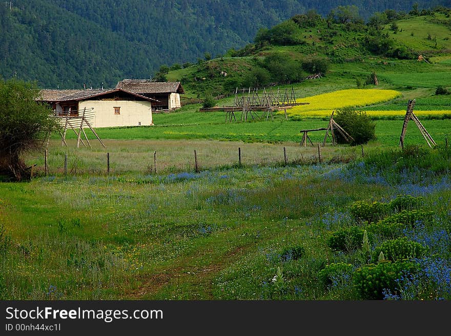 Tibetan Residence