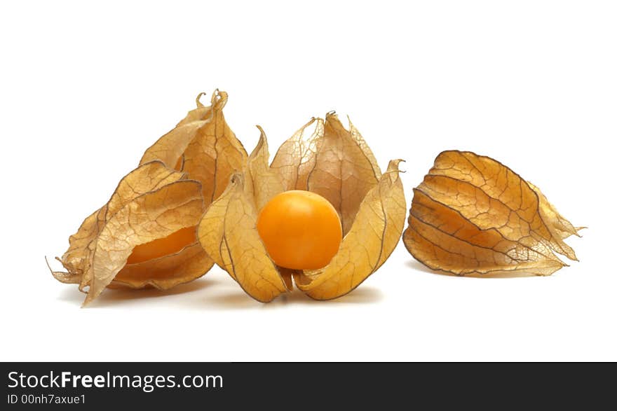 Fresh Physalis