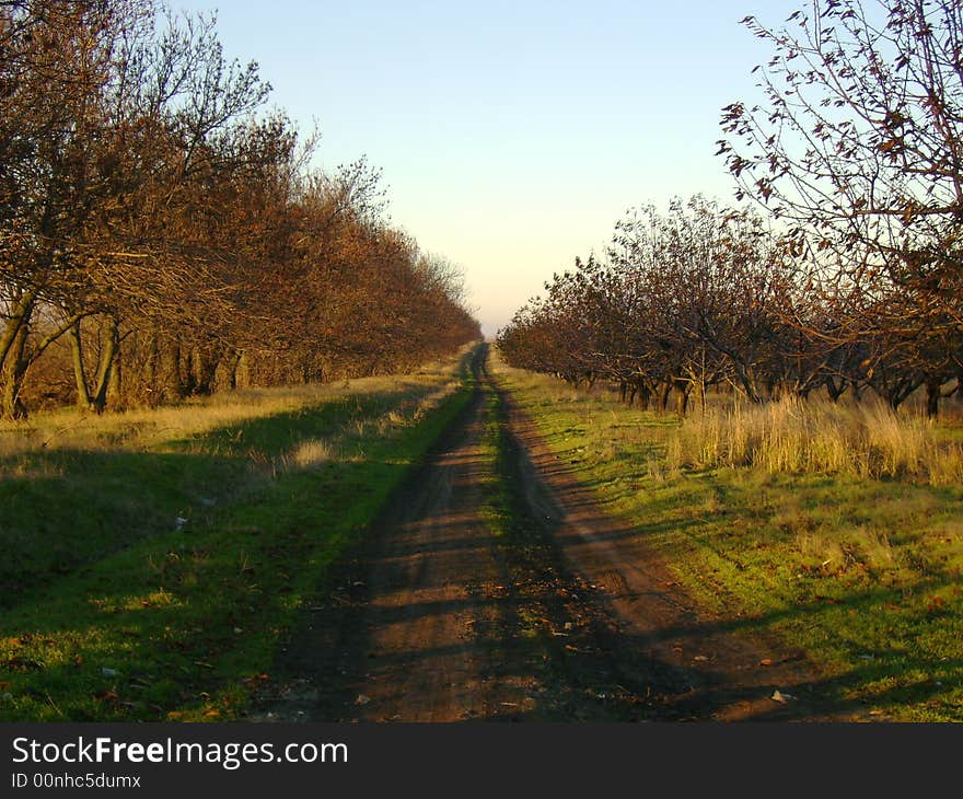 Country-track way