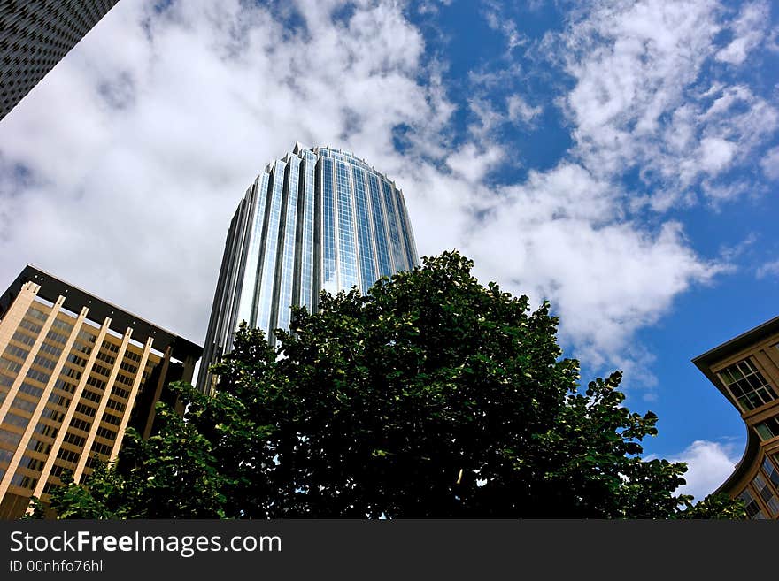 Dizzying image of glass tower growing out of the top of the tree, surrounded by buildings. Dizzying image of glass tower growing out of the top of the tree, surrounded by buildings