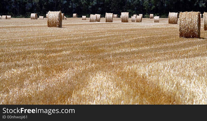 The harvest is ready to earn. The harvest is ready to earn