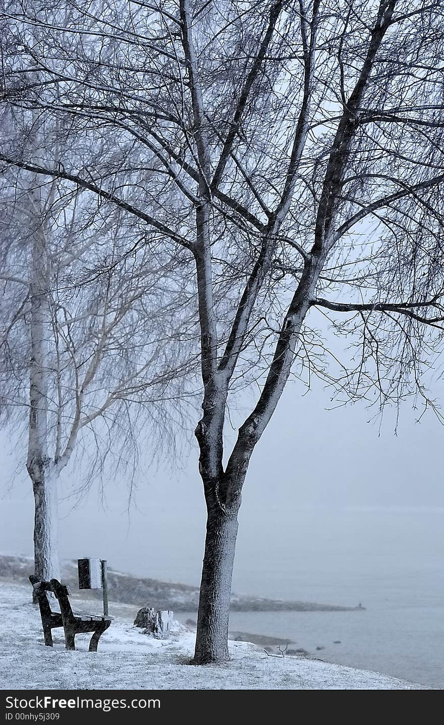 Riverbank of the Danube at Duernstein during winter. Riverbank of the Danube at Duernstein during winter