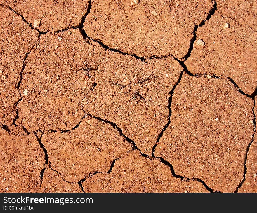 Earth crevasses in a drought terrain