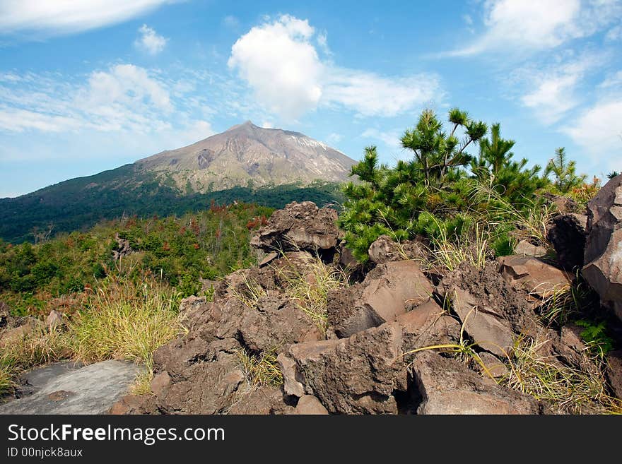 The mountain Sakurayama