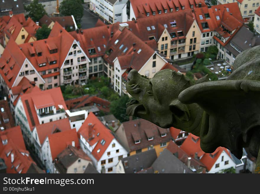 Lithic spout of Ulmer Münster - detailed