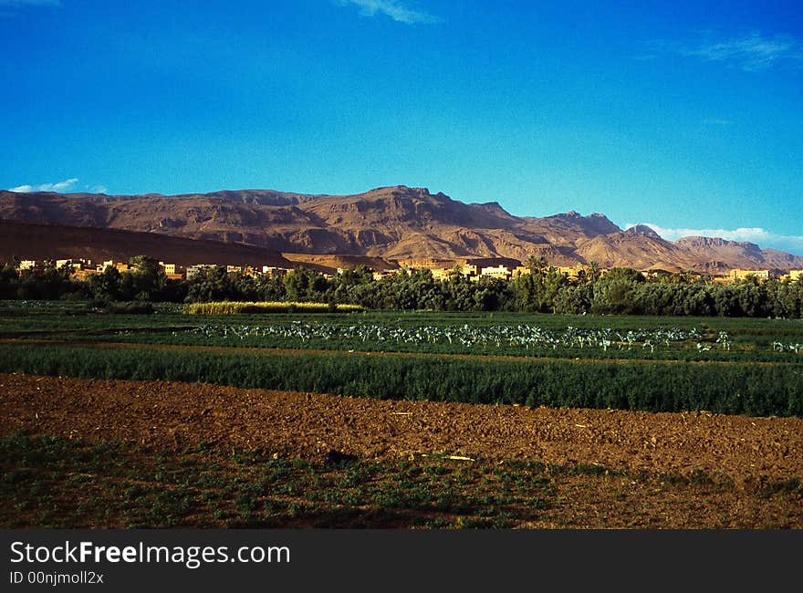 Landscape mountainous and crops in morocco