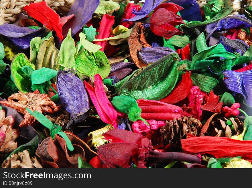 Dry Flowers