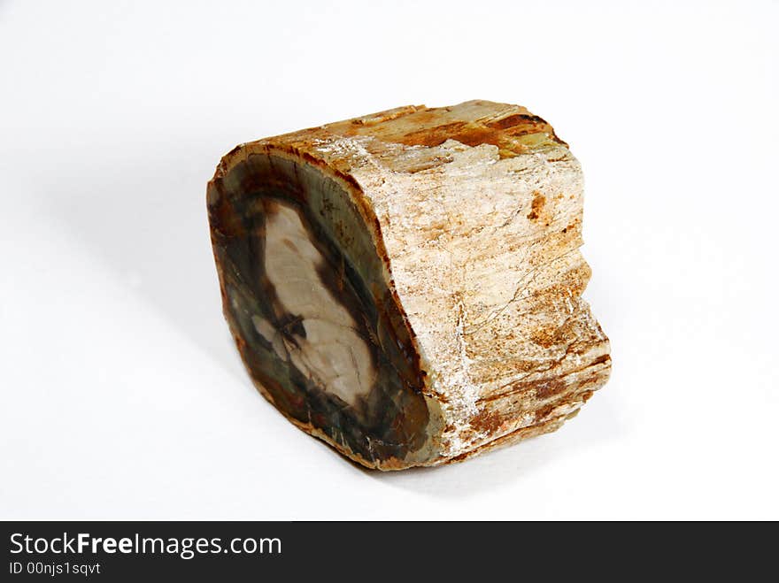 Petrified Wood