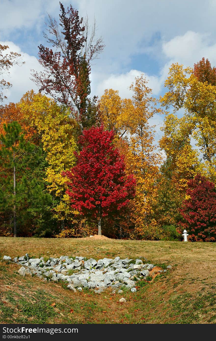 Beautiful Autumn Colors in a Park