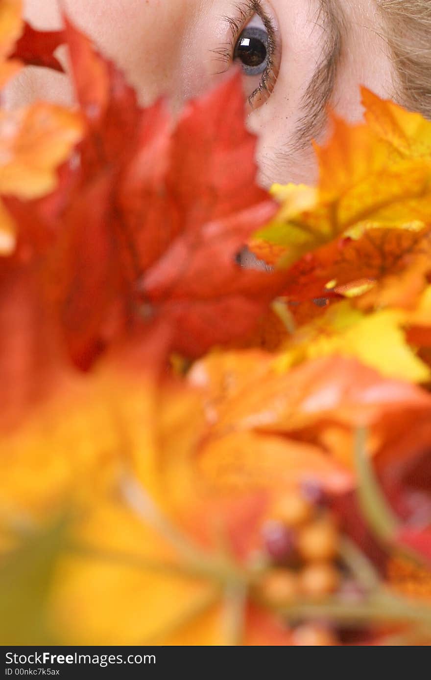 Photo of a eye peeking from leaves 1