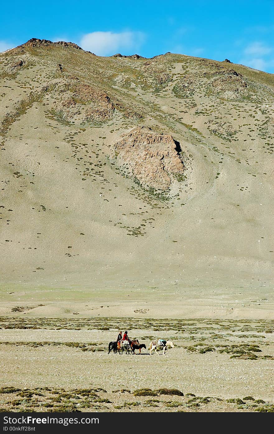 Himalayan nomads populations, along Leh-Manali road, Ladakh, India