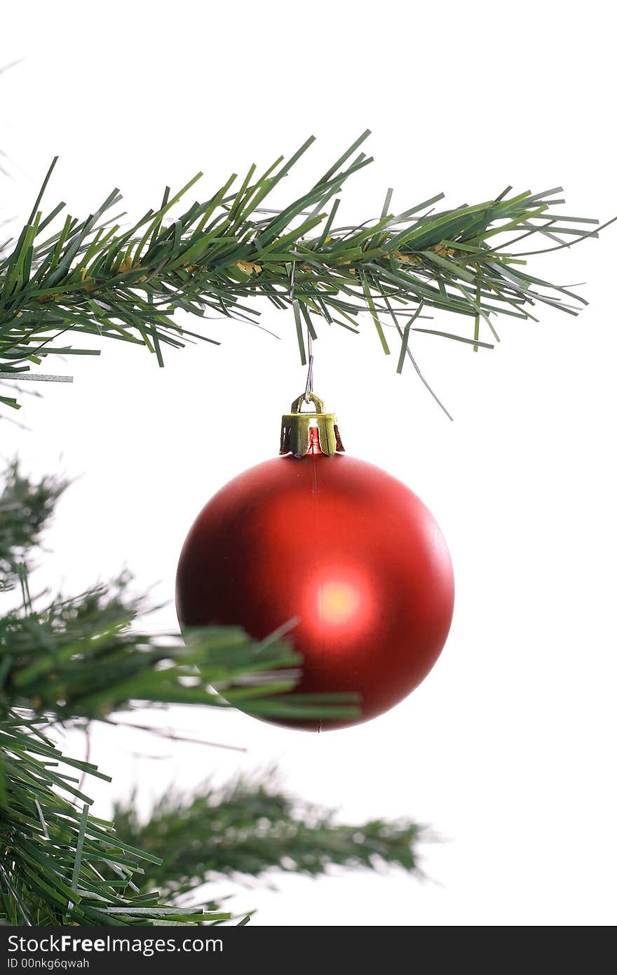 Photo of a Red ornament hanging on tree branch white background