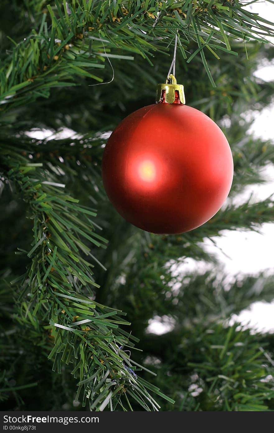 Photo of a red ornament on tree background