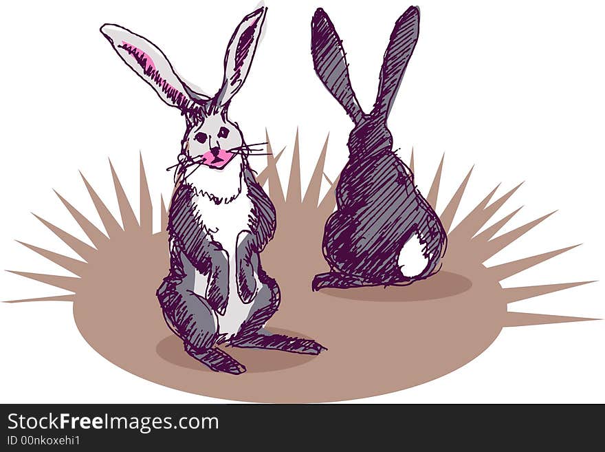 Illustration, vector for two rabbit with front and back view