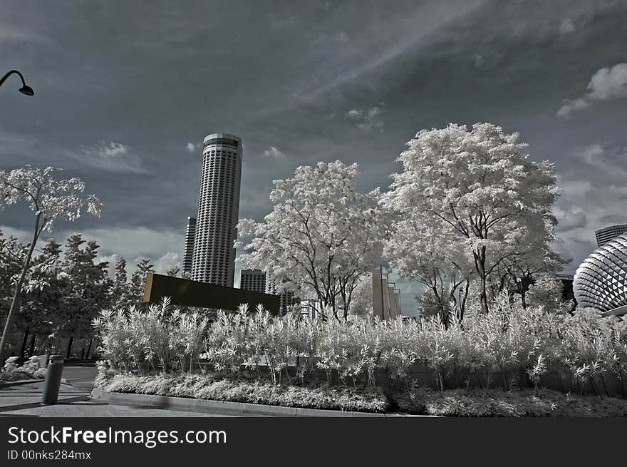 Infrared photo – tree, building and cloud in the parks