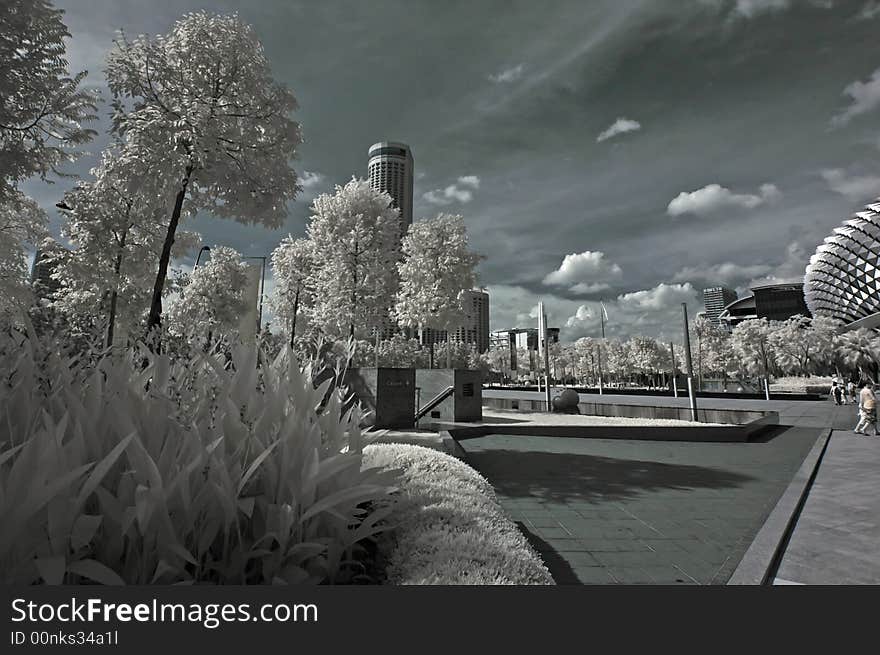 Infrared photo – tree, building and cloud in the parks