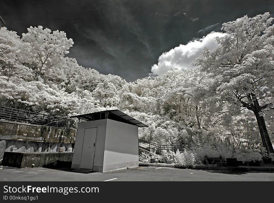 Infrared photo – tree, hut and cloud in the park