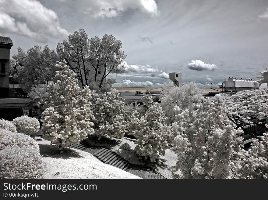 Infrared photo – tree, skies and building