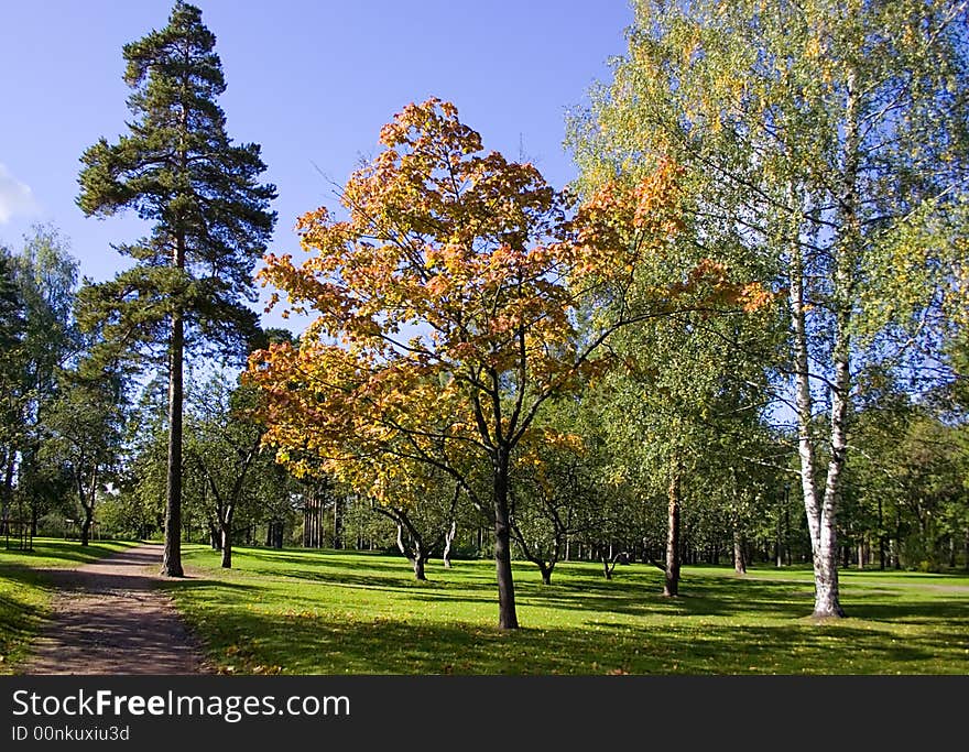 Path in autumnal park