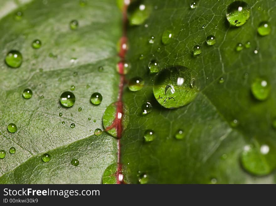 Small drop on blade of grass with green background. Small drop on blade of grass with green background