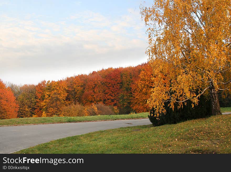 Autumn avenue