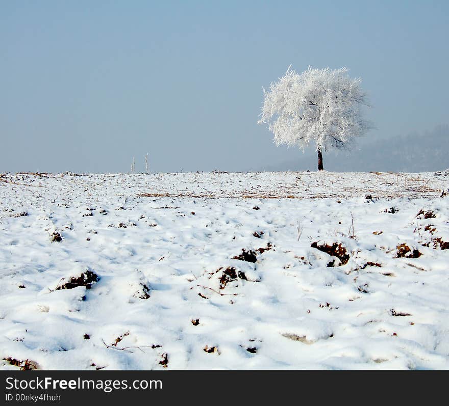 Rimed Tree