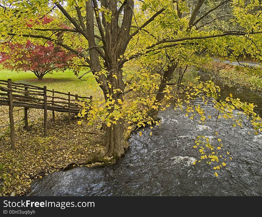 Autumn Scene