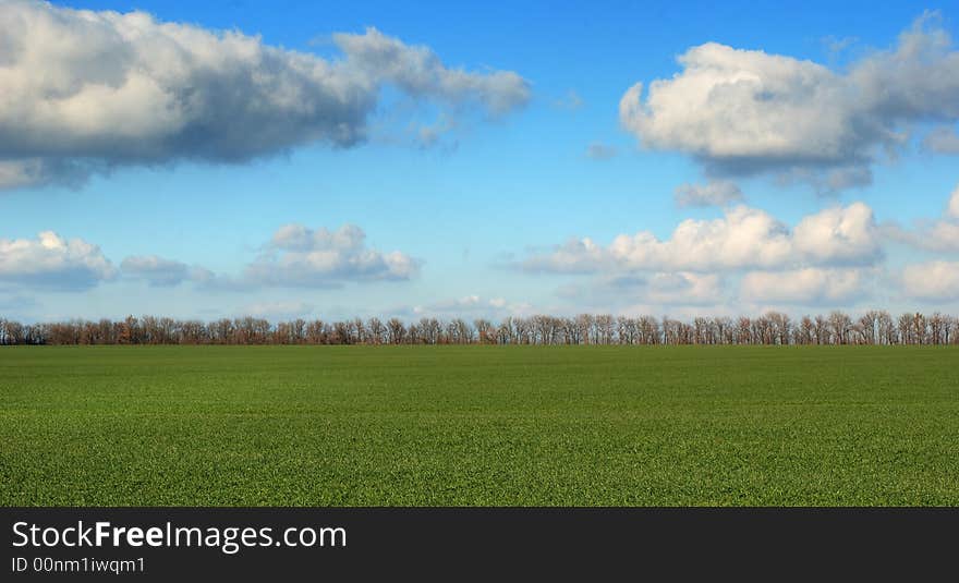 Green field on a background of the drama sky with a number of trees in a distance