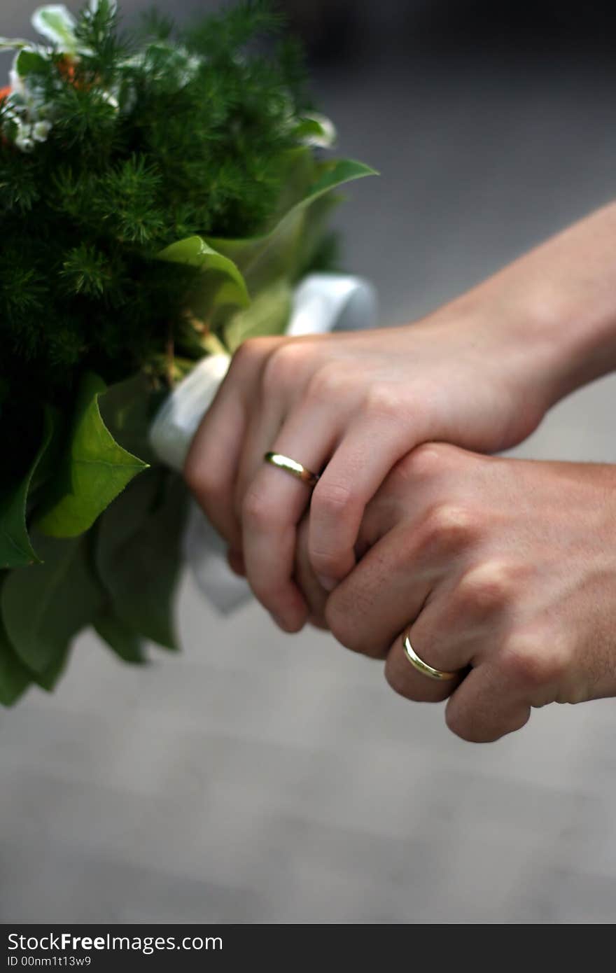 Closeup of hands with rings - wedding day. Closeup of hands with rings - wedding day