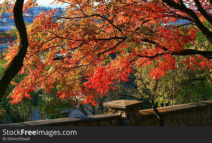 Paints of autumn