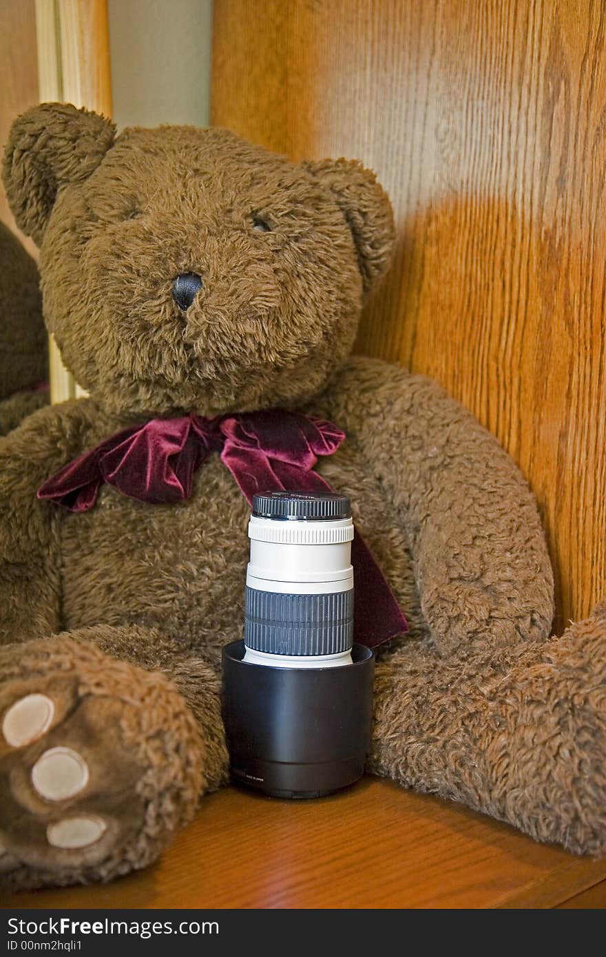 An expensive camera lens posed with a stuffed bear. An expensive camera lens posed with a stuffed bear