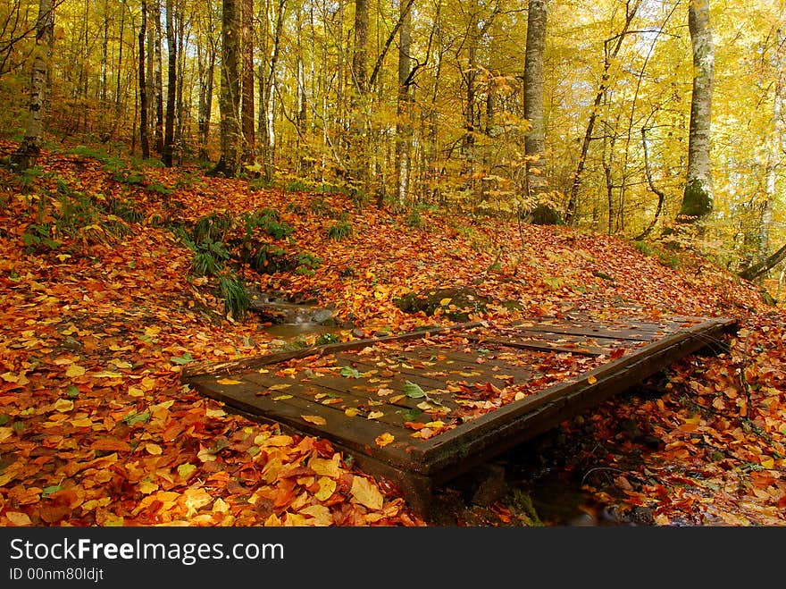 Bolu - Yedigöller (Seven Lakes)  National Park 
Location: The Yedigoller (Seven Lakes) National Park is in the north of the Bolu province, and south of Zonguldak in the western Black Sea region. 
Highlights: The park is the best known for the lakes formed by landslides, the rich plant life which gives dense coverage to the area, and the abundance of trout living in the lake. The structure of the land, which has tendencies to subside, is the main factor in the lake’s formation. 
The dominant plant cover is beech trees, and there are also oaks, hornbeams, alders, black pine, Scotch pine, firs elm and lime trees. As a result of effective protection of plant and animal life, the animals inside the park like deer, pigs, wolves, foxes and squirrels are increasing in number. There is also a deer protection area. 
This area saw the first cultured trout farm in Turkey, established in 1969, and as a result trout fishing is a popular activity. The sightseeing tower at Kapankaya, inside the park, offers a great opportunity to view a wide area over the lakes and unique landscape. One of the most famous items is the monumental tree signboard on the way to the tower. 
Facilities: Within the park are guest-houses, bungalows, tents and caravans, as well as cafes and restaurants. Bolu - Yedigöller (Seven Lakes)  National Park 
Location: The Yedigoller (Seven Lakes) National Park is in the north of the Bolu province, and south of Zonguldak in the western Black Sea region. 
Highlights: The park is the best known for the lakes formed by landslides, the rich plant life which gives dense coverage to the area, and the abundance of trout living in the lake. The structure of the land, which has tendencies to subside, is the main factor in the lake’s formation. 
The dominant plant cover is beech trees, and there are also oaks, hornbeams, alders, black pine, Scotch pine, firs elm and lime trees. As a result of effective protection of plant and animal life, the animals inside the park like deer, pigs, wolves, foxes and squirrels are increasing in number. There is also a deer protection area. 
This area saw the first cultured trout farm in Turkey, established in 1969, and as a result trout fishing is a popular activity. The sightseeing tower at Kapankaya, inside the park, offers a great opportunity to view a wide area over the lakes and unique landscape. One of the most famous items is the monumental tree signboard on the way to the tower. 
Facilities: Within the park are guest-houses, bungalows, tents and caravans, as well as cafes and restaurants.