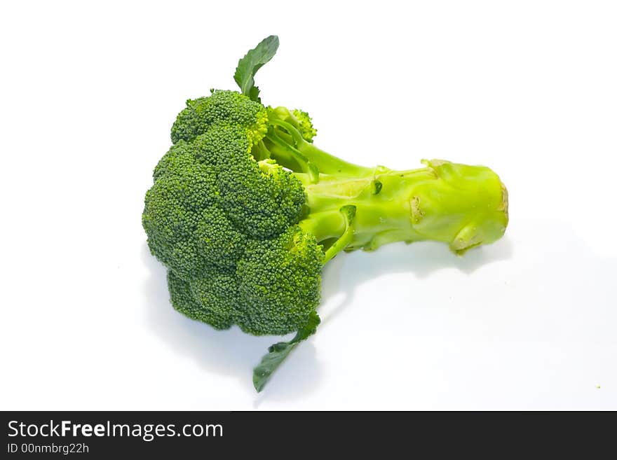 Branch of broccoli isolated with white background. Branch of broccoli isolated with white background