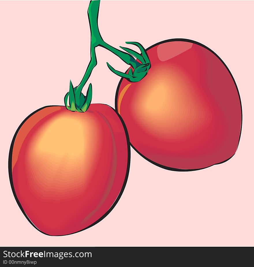 Illustration of two fresh Tomatoes