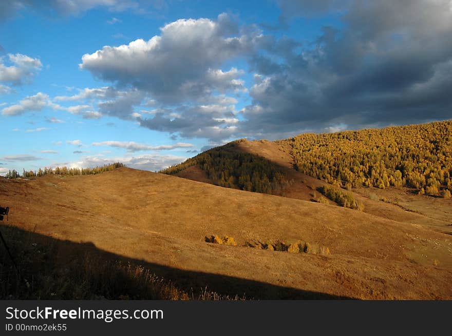 Farmland