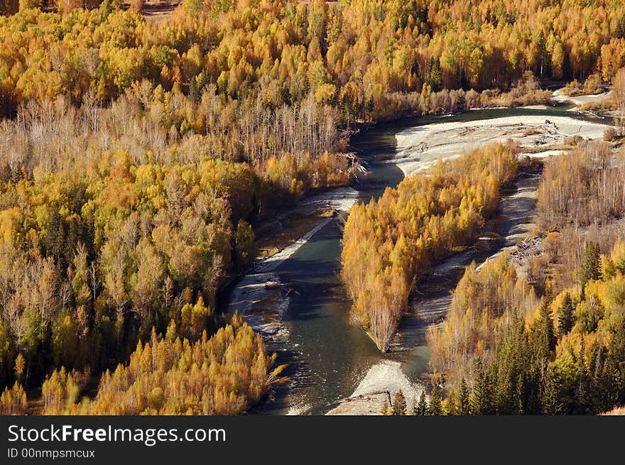 On the way from Tiereketi to Baihaba,  trees in the river give the shape of Taiwuan Island
Northern Xinjiang, China 
October, 2007. On the way from Tiereketi to Baihaba,  trees in the river give the shape of Taiwuan Island
Northern Xinjiang, China 
October, 2007